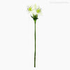 Galho Lírio-do-Amazonas Star Lily Artificial - Branco (9305)