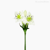 Galho Lírio-do-Amazonas Star Lily Artificial - Branco (9305)