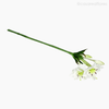 Galho Lírio-do-Amazonas Star Lily Artificial - Branco (9305)