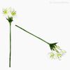 Galho Lírio-do-Amazonas Star Lily Artificial - Branco (9305)
