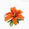 Galho Lírio Tigre Tiger Lily Artificial - Laranja (10041)