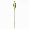 Galho Tropical Alpinia Ginger Lírio Artificial - Branco (11397)