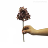 Hortênsia Artificial - Marrom Claro (10495)
