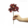 Hortênsia (P) Artificial - Vermelho Escuro (10785)