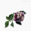 Galho Hortênsia (GG) Artificial - Roxo (10196)