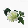 Galho Hortênsia (GG) Artificial - Branco (10197)