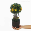Topiaria Mista com Flor Artificial - Amarelo (12659)