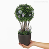 Topiaria Mista com Flor Artificial - Lilás (12661)