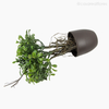Topiaria Buxinho Boxwood Artificial - Verde (9237)