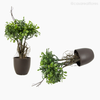 Topiaria Buxinho Boxwood Artificial - Verde (9237)