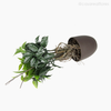 Topiaria Ficus Artificial - Verde (9236)