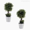 Topiaria Artificial - Verde Escuro (7700)