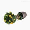 Topiaria Mista com Flor Artificial - Amarelo (12659)