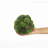 Bola Artificial P - Verde (4774)