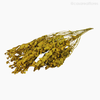 Alecrim do Campo Seco - Amarelo (01204312)