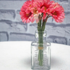 Vasinho Decorativo Chemist Bottle - Transparente (9415)