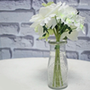 Vasinho Decorativo Large Milk (G) - Transparente (9287)
