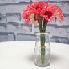 Vasinho Decorativo Small Milk (P) - Transparente (9414)