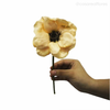 Anemone (P) Artificial - Creme (12742)