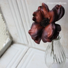Anemone (P) Artificial - Marrom (12743)