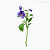 Amor Perfeito Artificial - Roxo (9903)
