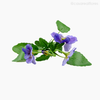 Amor Perfeito Artificial - Roxo (9903)