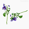 Amor Perfeito Artificial - Roxo (9903)
