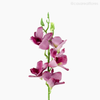 Flor Renantanda Artificial - Lilás (9775)