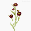 Galho Straw Flor Artificial - Vermelho (12726)