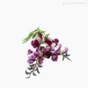 Galho Glicínia Wisteria Artificial - Rosa (10834)