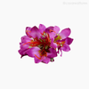 Galho Acácia Artificial - Roxo (9400)