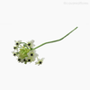 Galho Estrela de Belém Arabicum Artificial - Verde (9323)