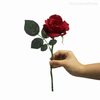 Galho Rosa Alice Artificial - Vermelho (10028)
