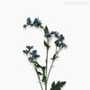Galho Mini Margarida Artificial - Azul Escuro (9592)