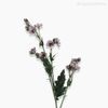 Galho Mini Margarida Artificial - Lilás (9590)