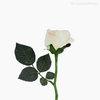 Galho Rosa Alice Artificial - Rosa Claro (10030)