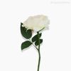 Galho Rosa Georgia Artificial - Rosa Claro (10035)