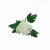 Galho Bola de Neve Snowball Artificial - Cores Mistas (9417)