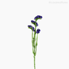Galho Statices Artificial - Roxo (9320)