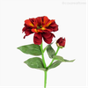 Galho Zinia Artificial - Vermelho (9420)
