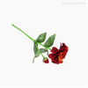 Galho Zinia Artificial - Vermelho (9420)