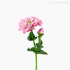 Galho Zinia Artificial - Rosa (9419)