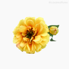 Galho Zinia Artificial - Amarelo (9421)
