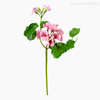 Gerânio Artificial - Rosa (9874)