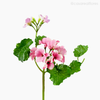 Gerânio Artificial - Rosa (9874)