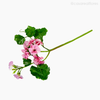 Gerânio Artificial - Rosa (9874)