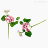 Gerânio Artificial - Rosa (9874)