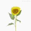 Girassol G Artificial - Amarelo (5566)
