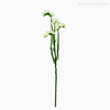 Galho Statices Artificial - Branco (9319)
