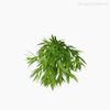 Mini GalhoTempero Herbs Pick Artificial - Verde (10826)